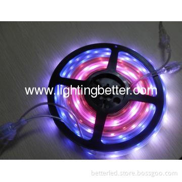 High quality SMD5050 30leds/m magic Led strip